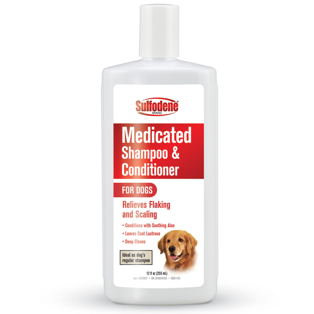 sd090922-99-0002437-03-medicatedshampooconditioner-dogs-12oz-front-rendeing