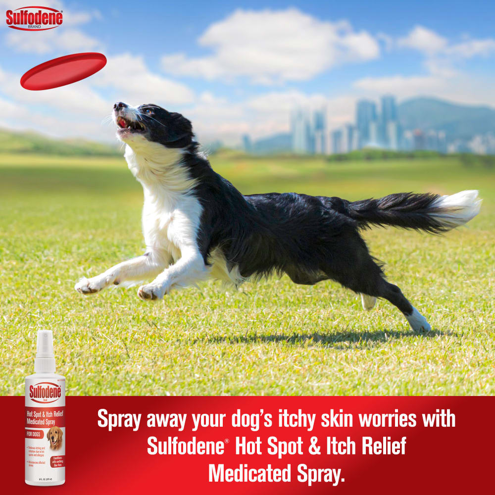 21-56954d-sd-hotspotitchreliefspray-dog-amazon-atf-image01-m1