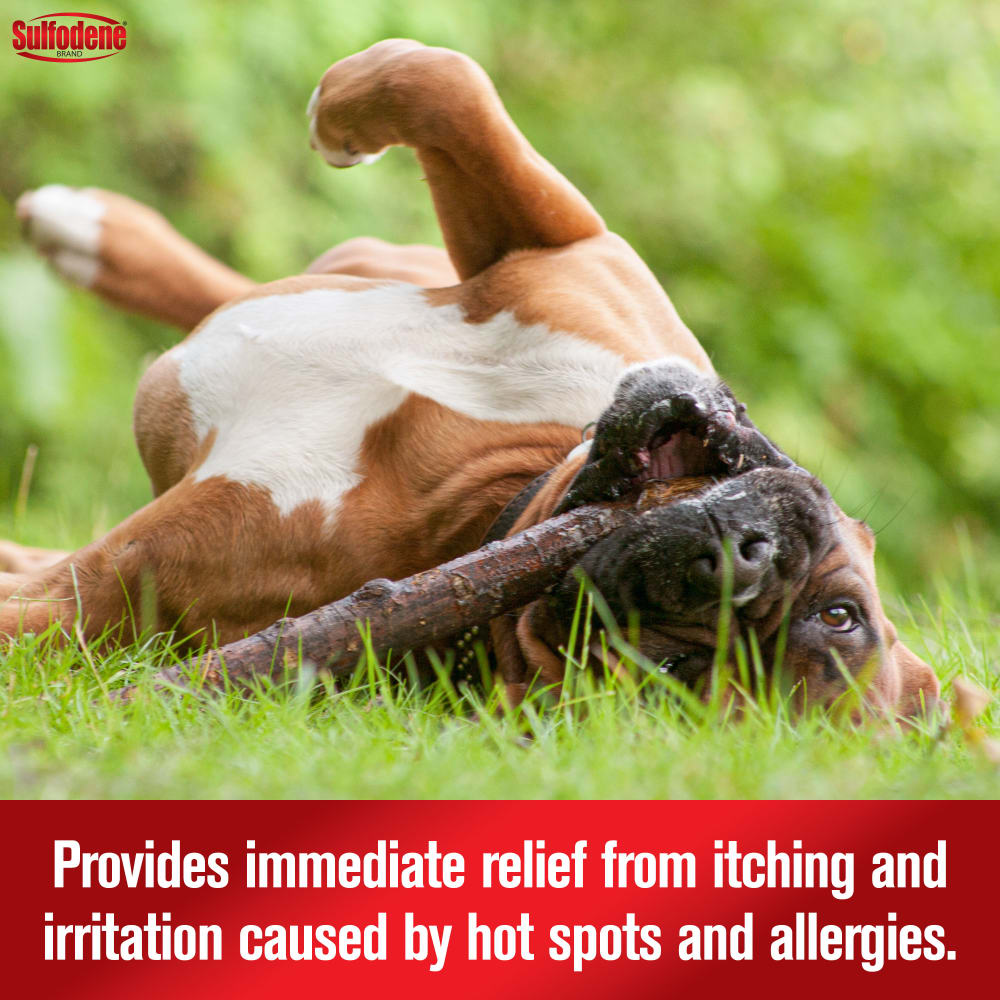 21-56954d-sd-hotspotitchreliefspray-dog-amazon-atf-image02-m1