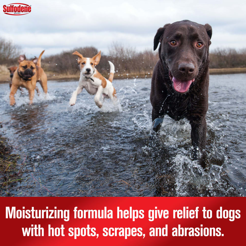 21-56954d-sd-hotspotitchreliefspray-dog-amazon-atf-image03-m1