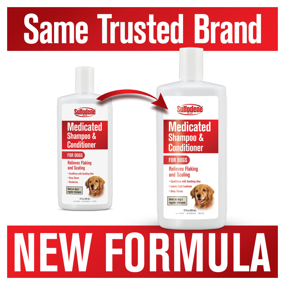 sd090922-medicatedshampooconditioner-dogs-12oz-oldvnew-digitialimage