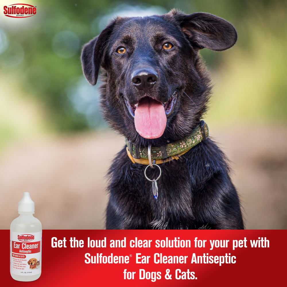 21-56954c-sd-earcleanerantiseptic-dogcat-amazon-atf-image01-m2
